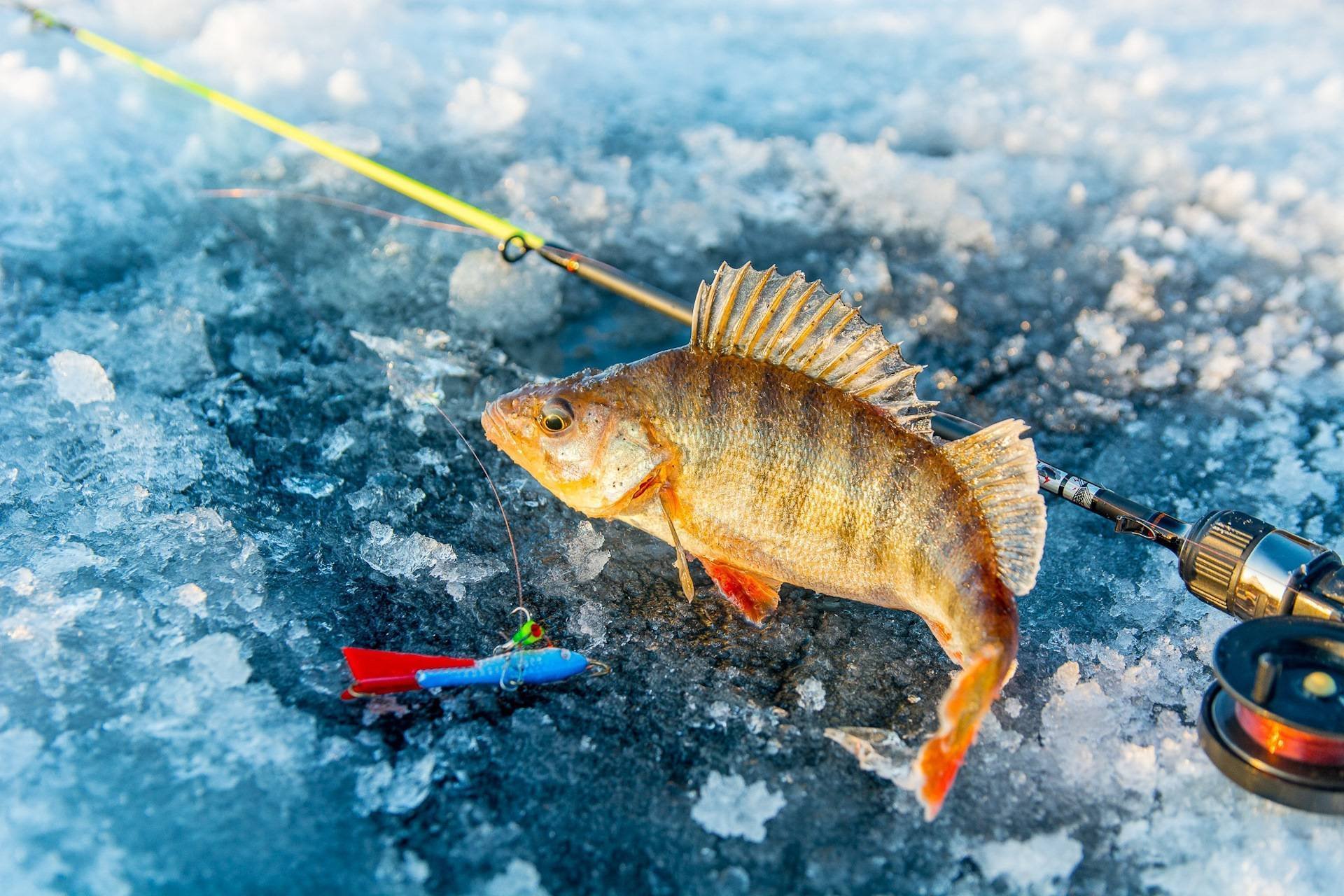 Зимняя рыбалка на косынку
