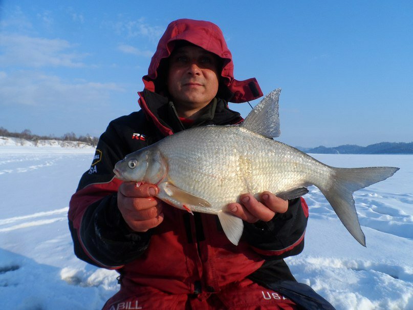Где ловить леща зимой на водохранилище - полезная информация для рыболовов
