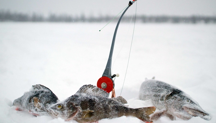 Что нужно для зимней рыбалки? Подсказки и советы начинающим
